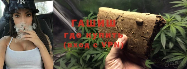 прущие грибы Армянск