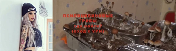 прущие грибы Армянск