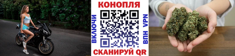 где продают наркотики  Соликамск  Шишки марихуана план 
